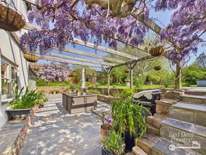 Pergola- click for photo gallery